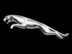 Jaguar logo